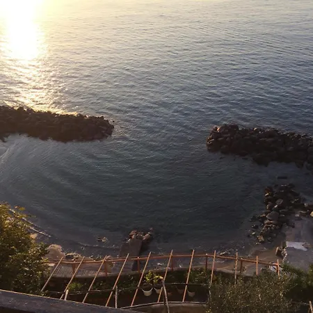 Neapolitan *